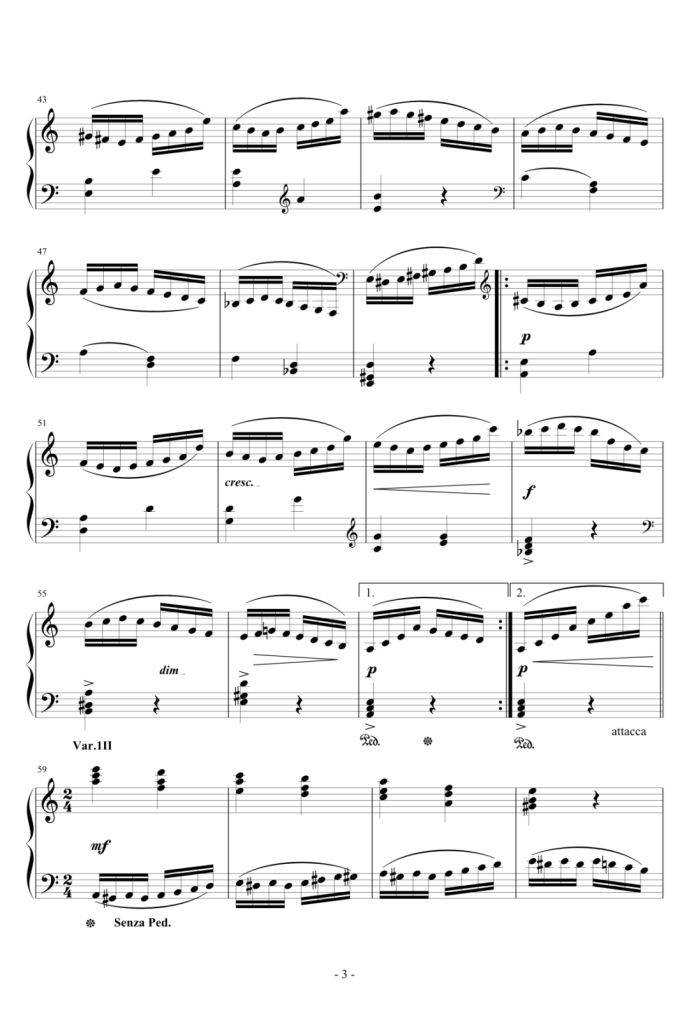 帕格尼尼主题变奏曲 钢琴谱-别尔科维奇